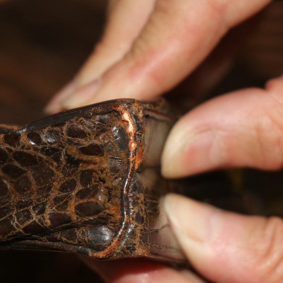 Alligator Envelope Style Clutch with Chain - Picture 4 of 5